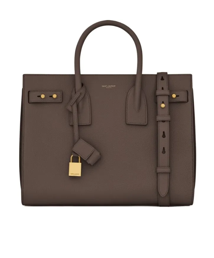 Sac De Jour Small Tote Bag