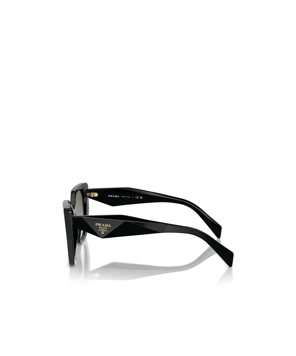 Butterfly Frame Sunglasses