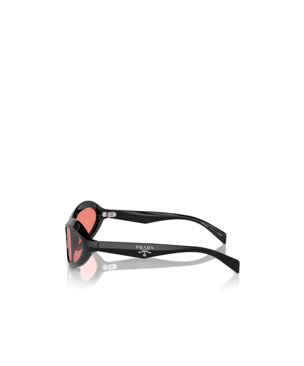 Cat-Eye Sunglasses