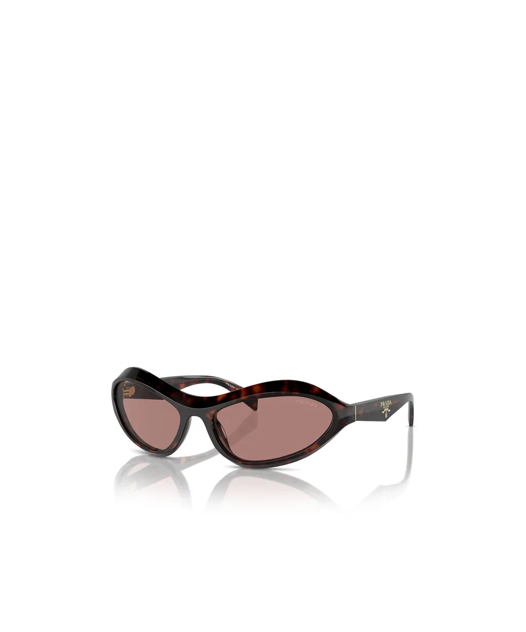 Cat-Eye Sunglasses