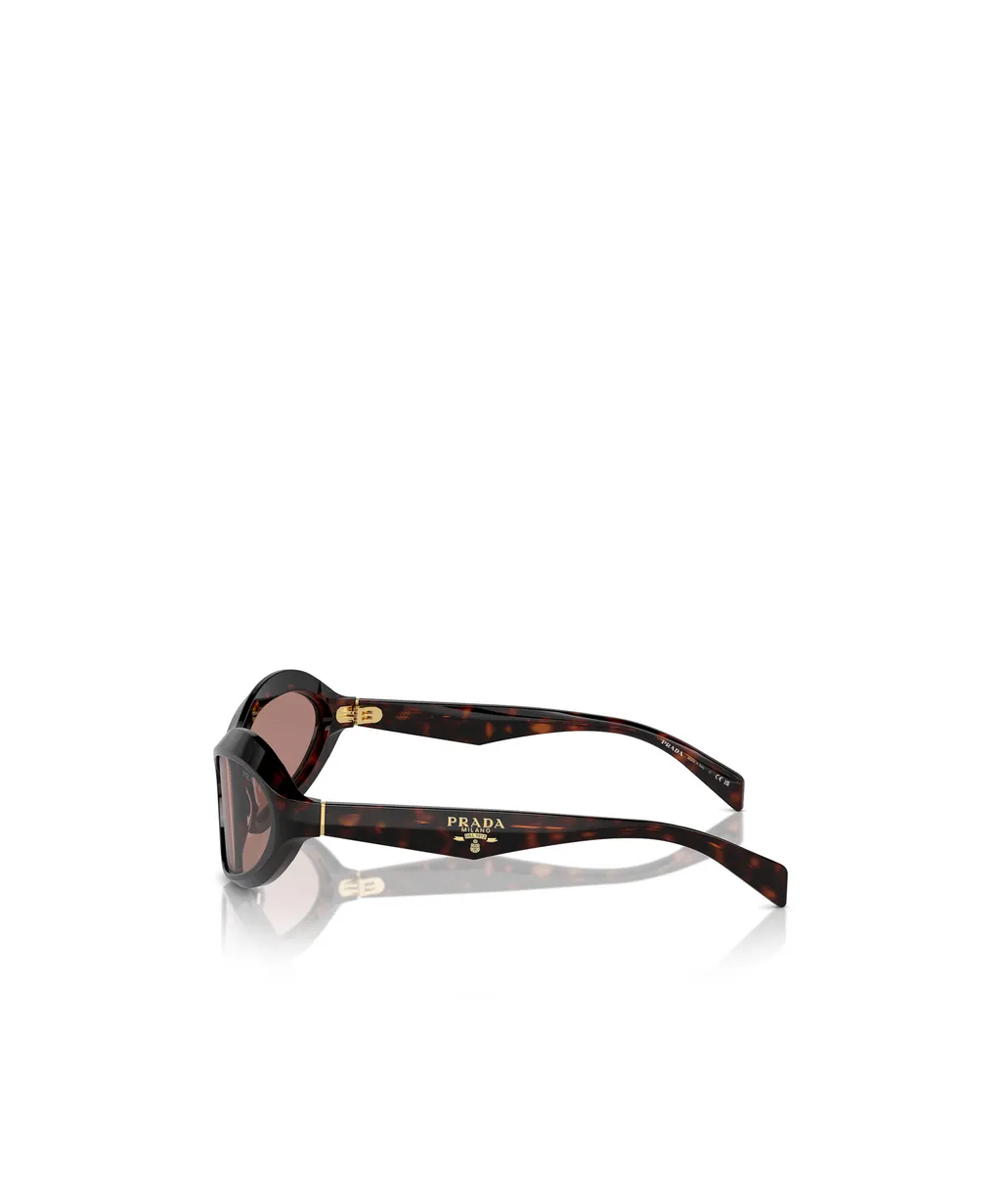 Cat-Eye Sunglasses