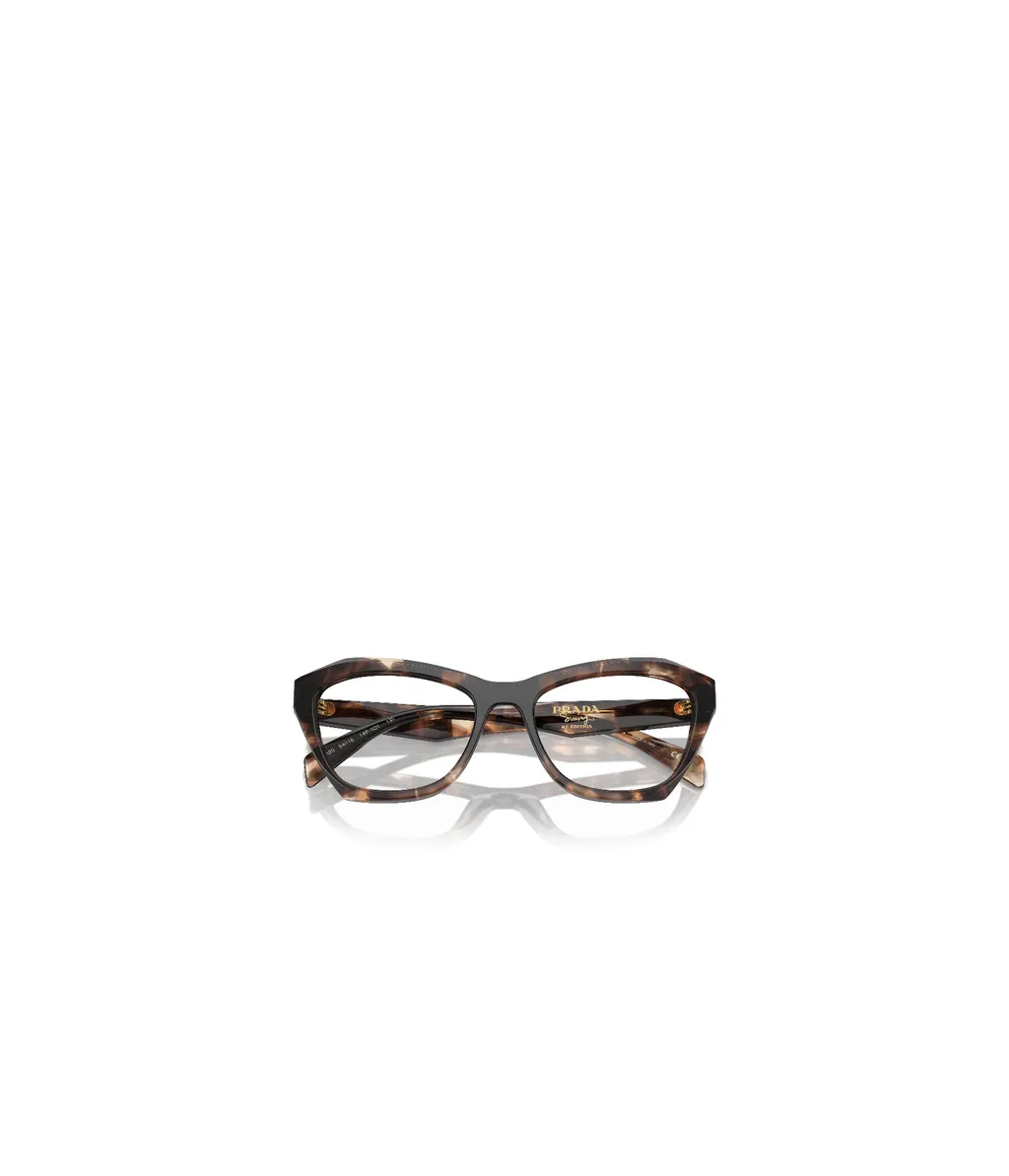 Butterfly Frame Glasses