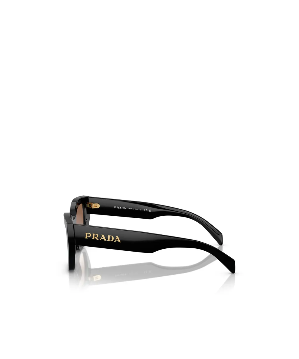 Cat-Eye Sunglasses
