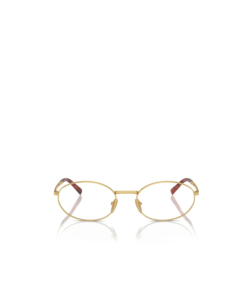 Oval Frame Glasses