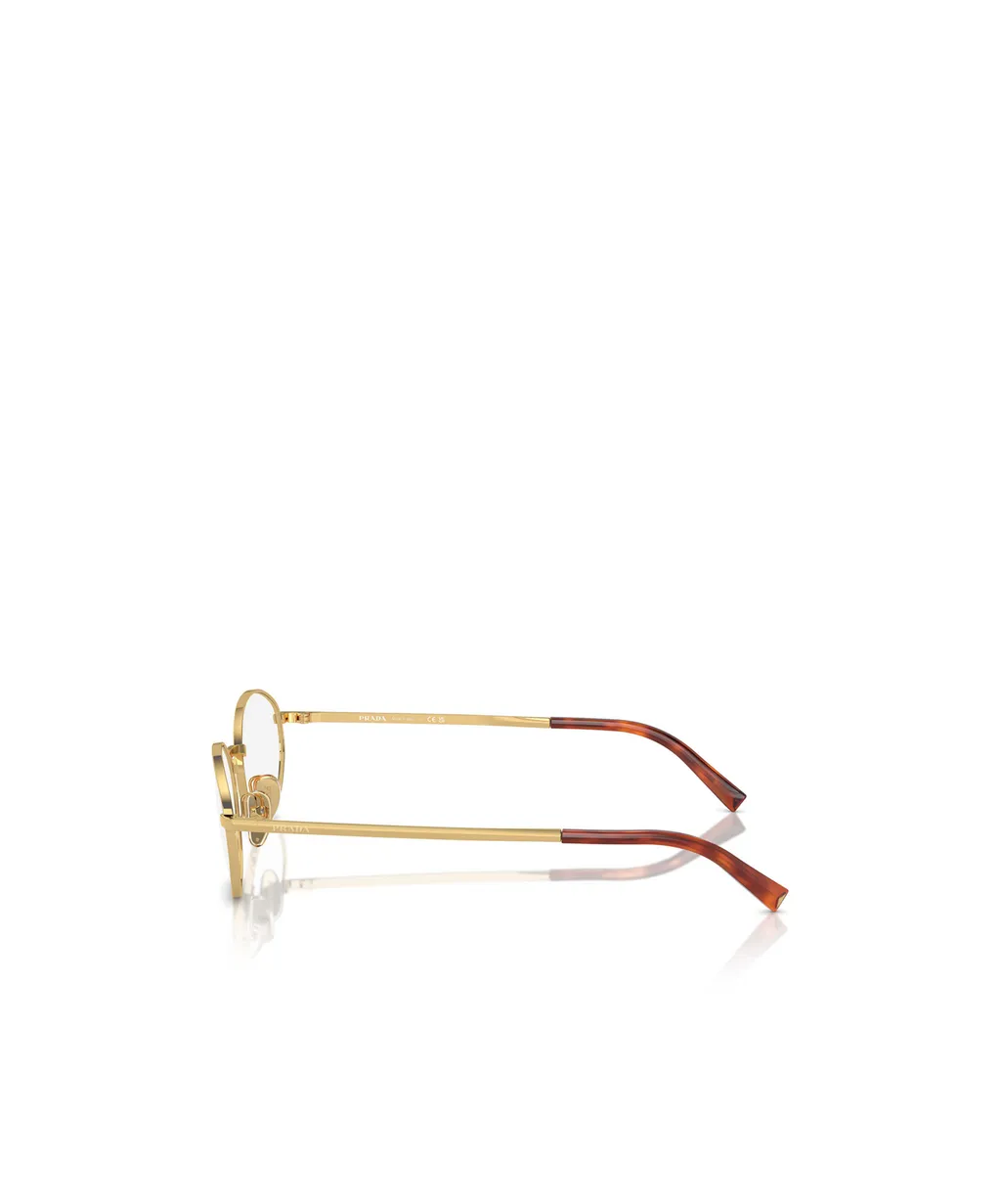 Oval Frame Glasses