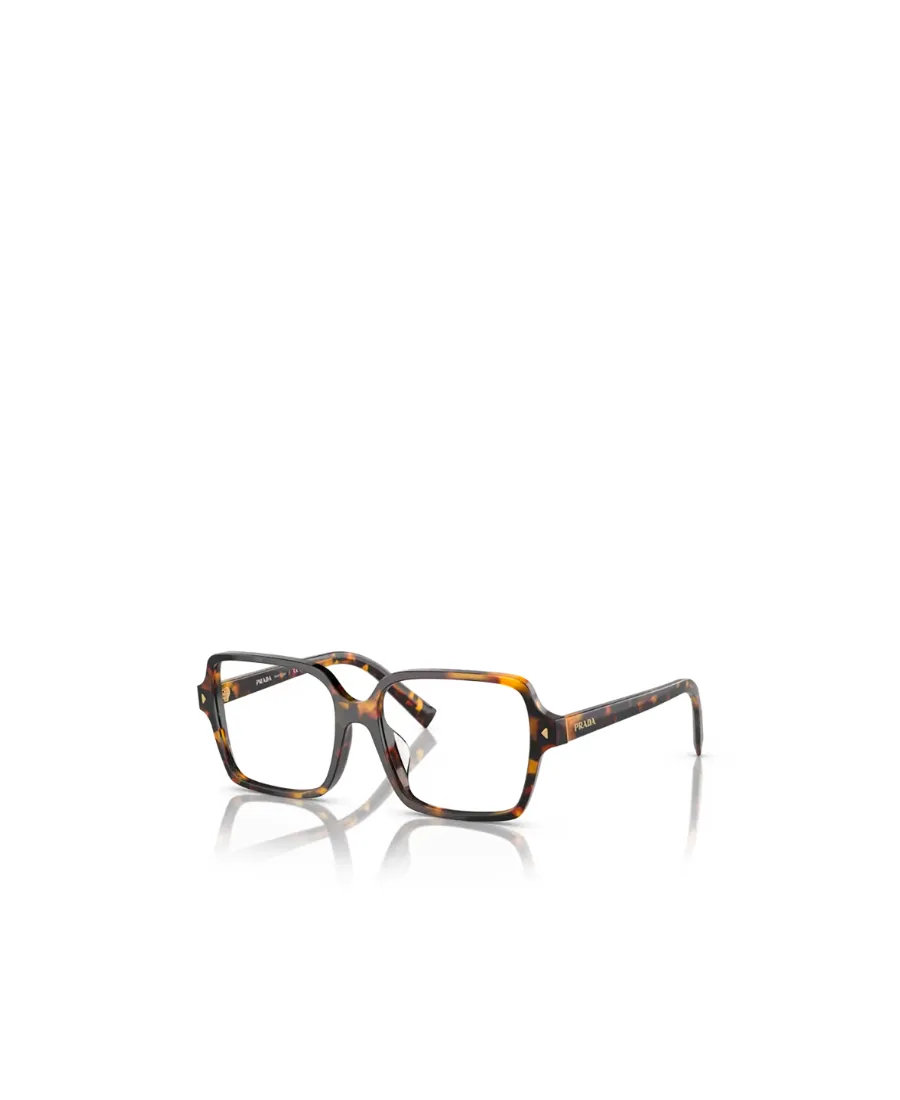 Square Frame Glasses