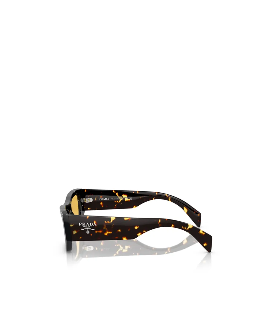 Cat-Eye Sunglasses
