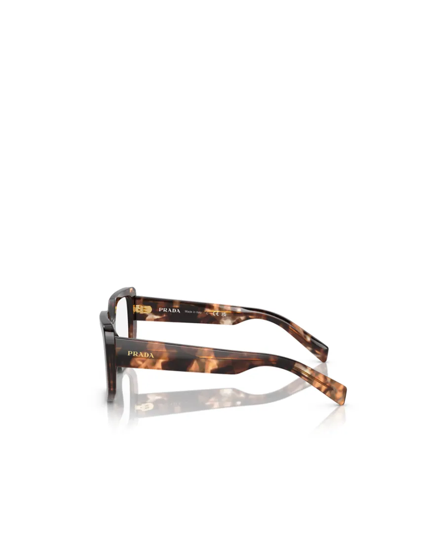 Cat-Eye Glasses