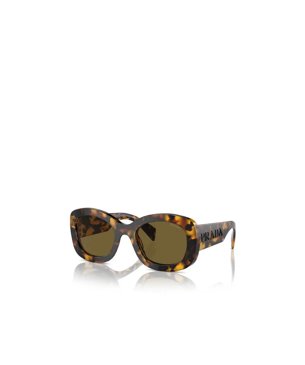 Oval Frame Sunglasses