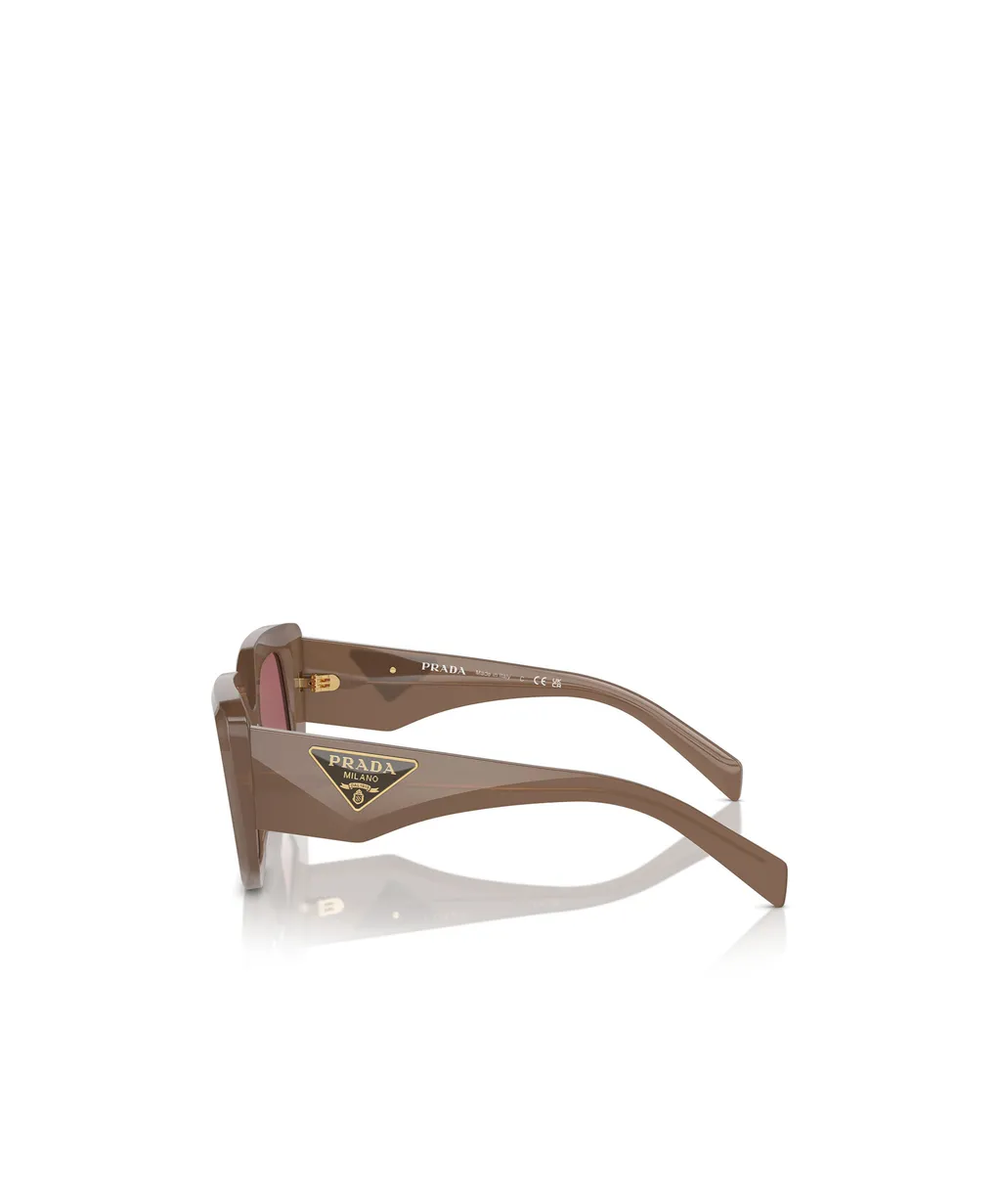 Butterfly Frame Sunglasses