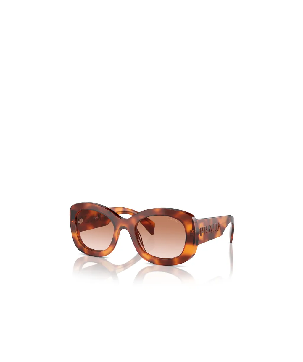 Oval Frame Sunglasses