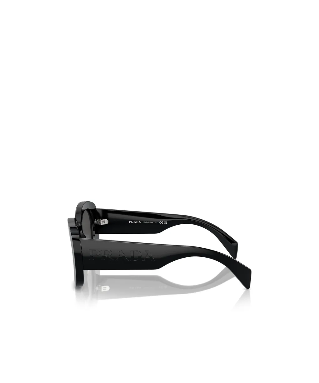 Oval Frame Sunglasses