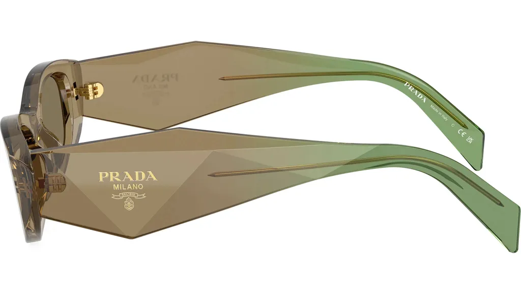 Full-Frame Sunglasses