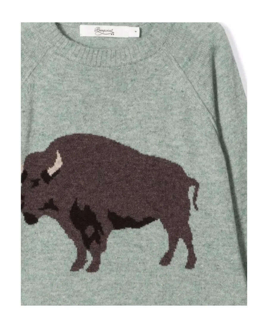 Bull-Print Jumper
