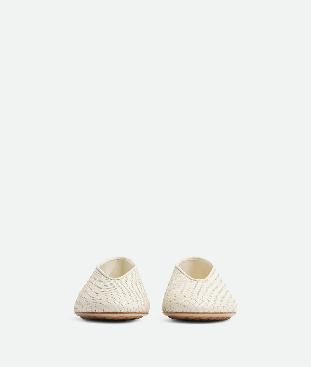 Rosa Ballerina Shoes