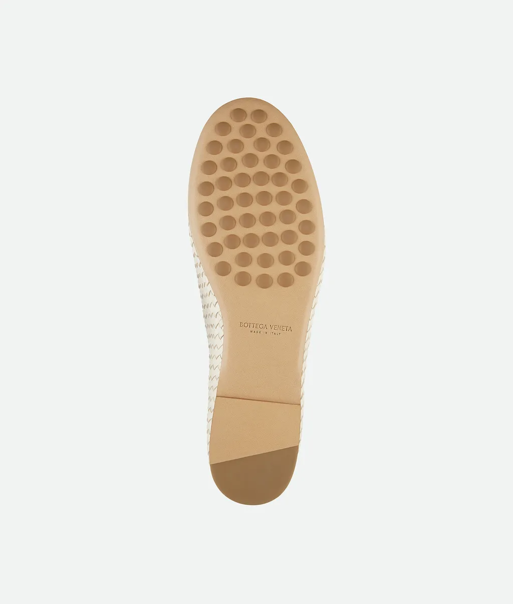Rosa Ballerina Shoes