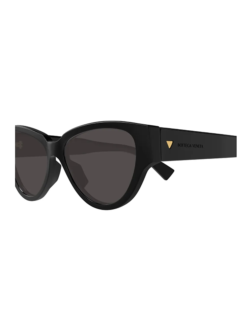 Full Frame Sunglasses