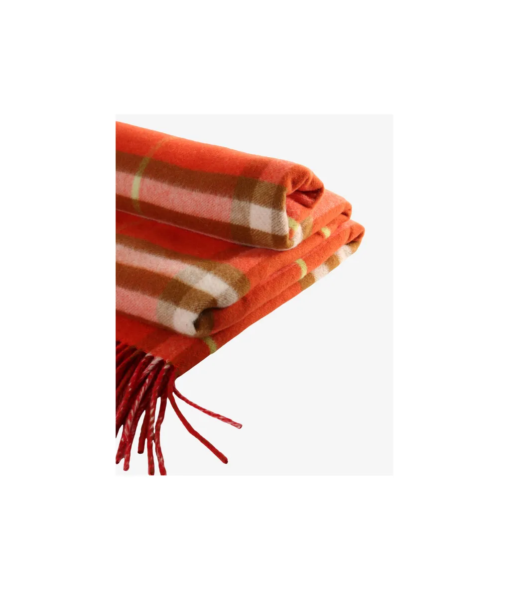Checked Fringed Scarf