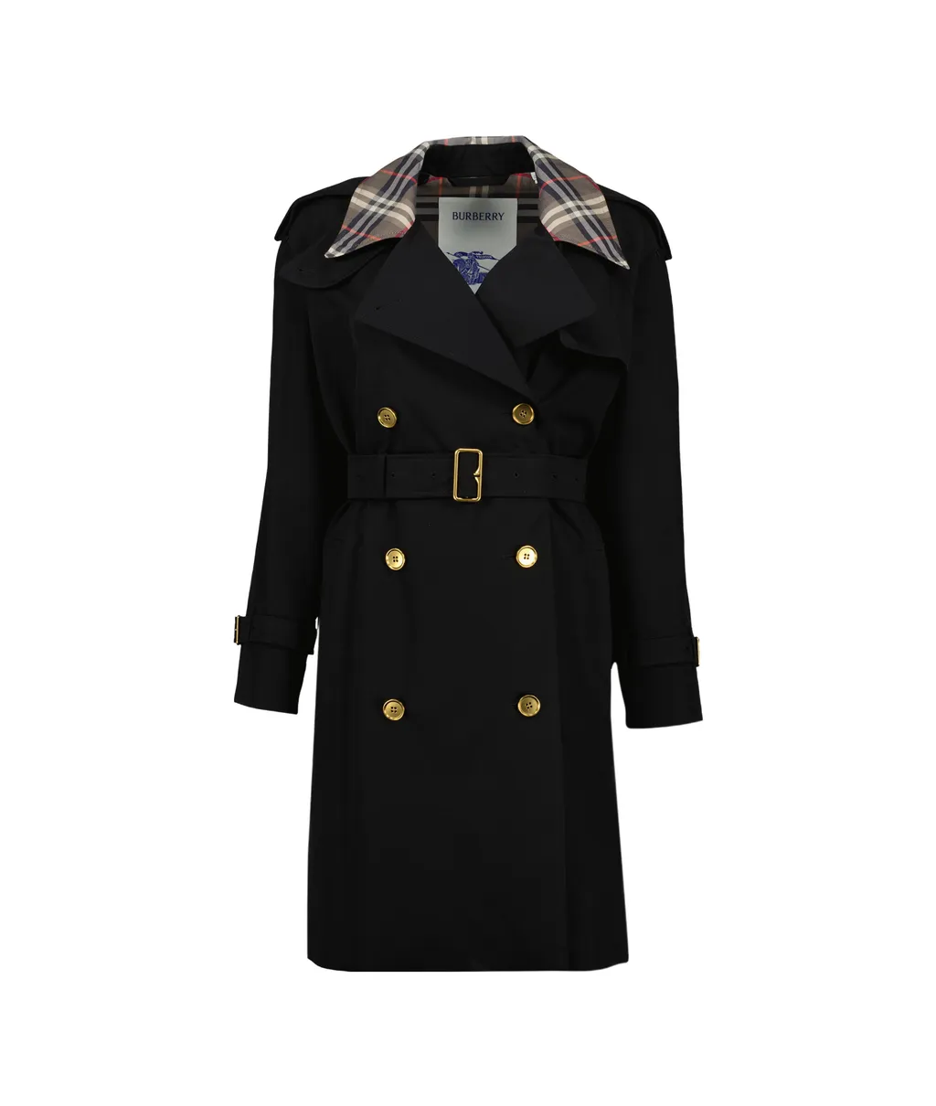 Double Breasted Belted Trench Coat