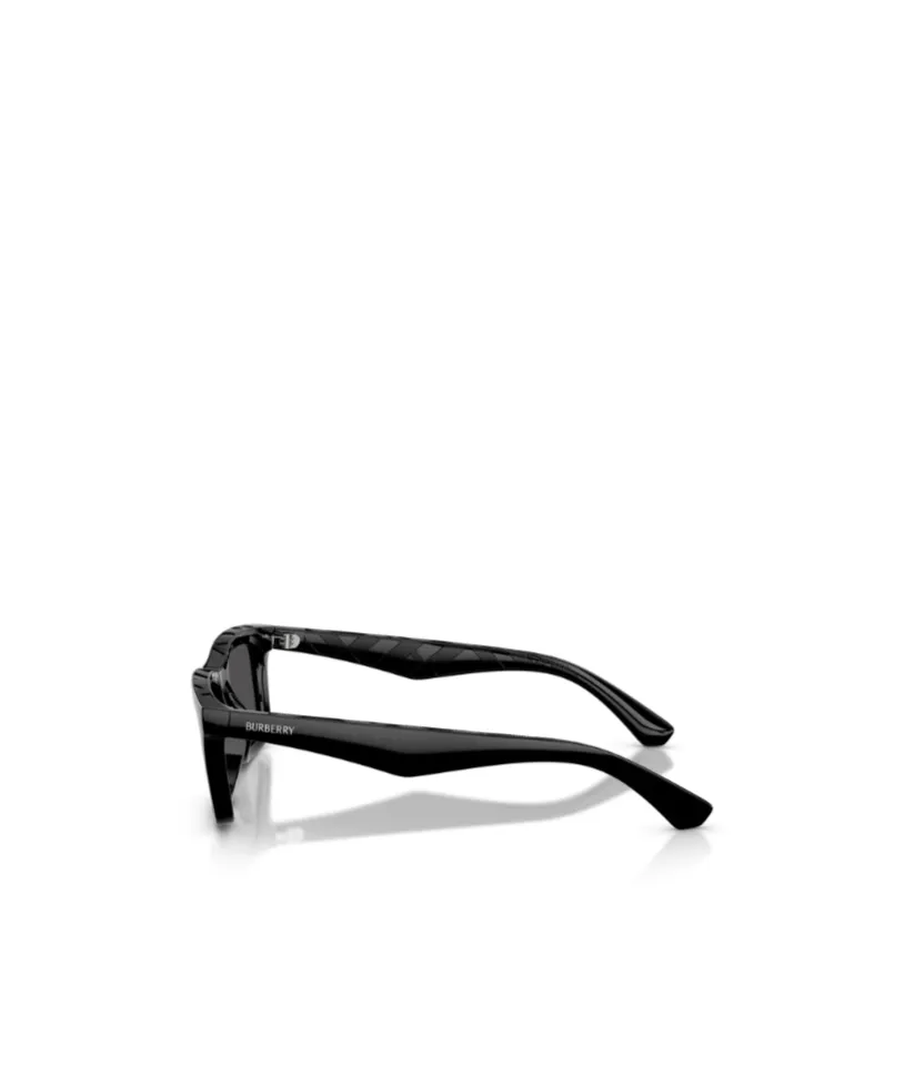 Full Frame Sunglasses