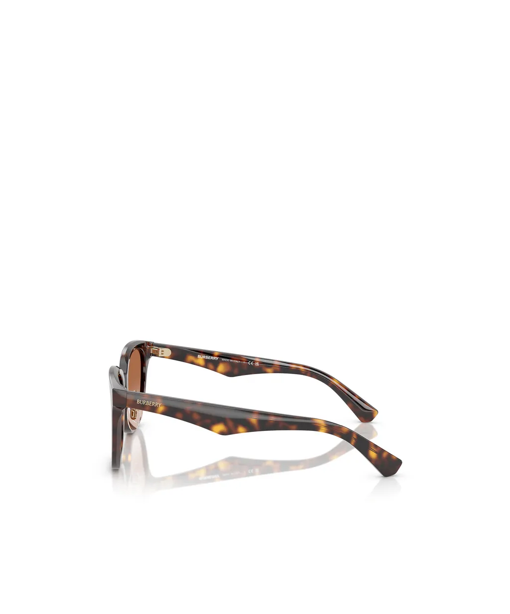 Square Frame Sunglasses