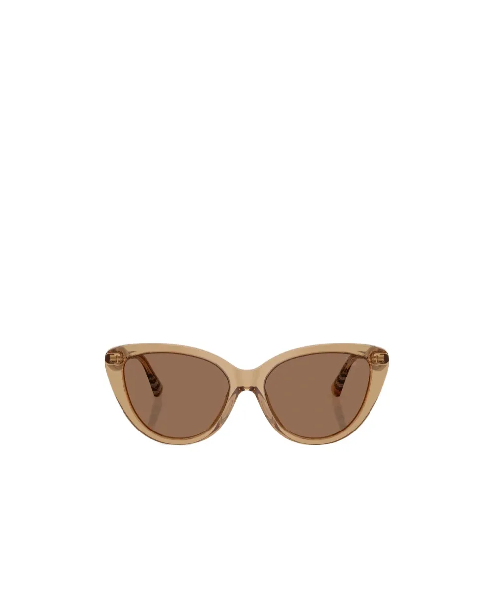 Full Frame Sunglasses