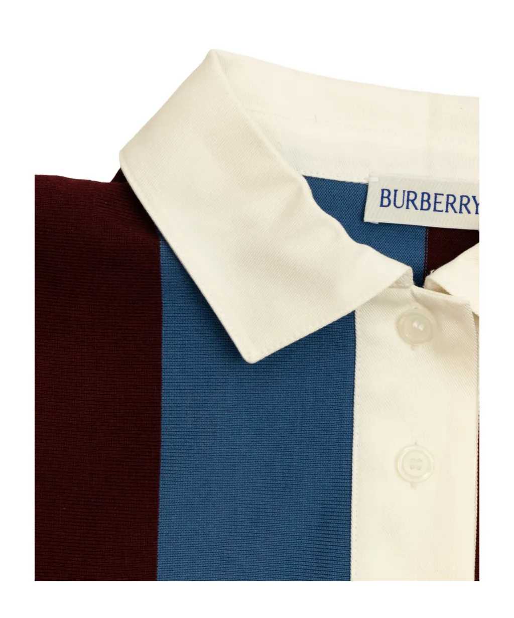 Striped Logo Embroidered Polo Shirt