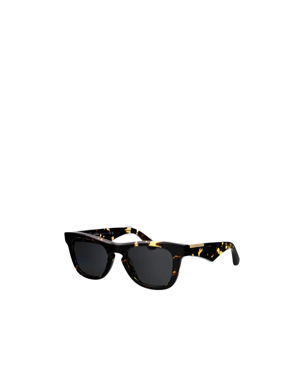 Square Frame Sunglasses