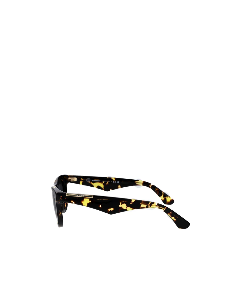 Square Frame Sunglasses