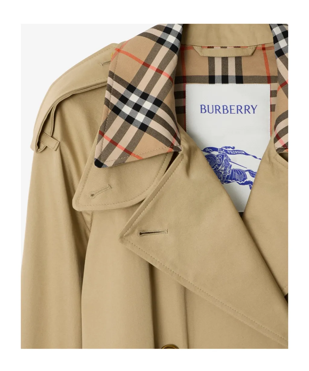 Double Breasted Belted Trench Coat