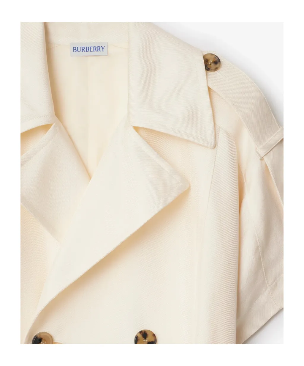 Double Breasted Belted Trench Dress