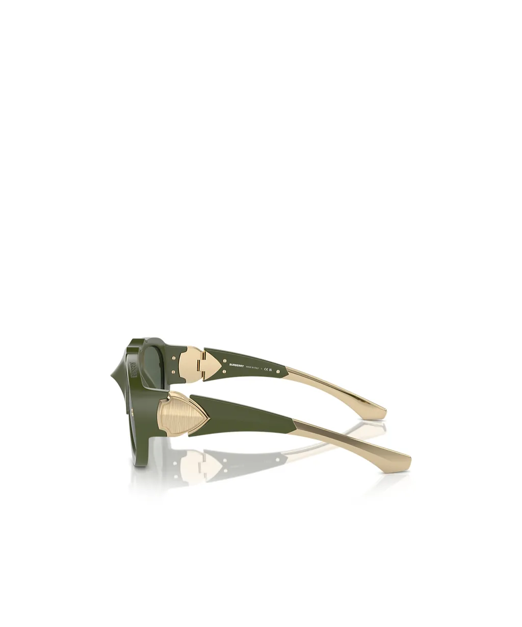 Frame Sunglasses