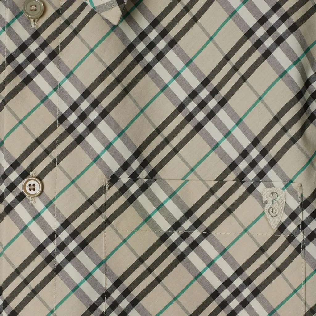 Short Sleeved Checked Cropped Shirt