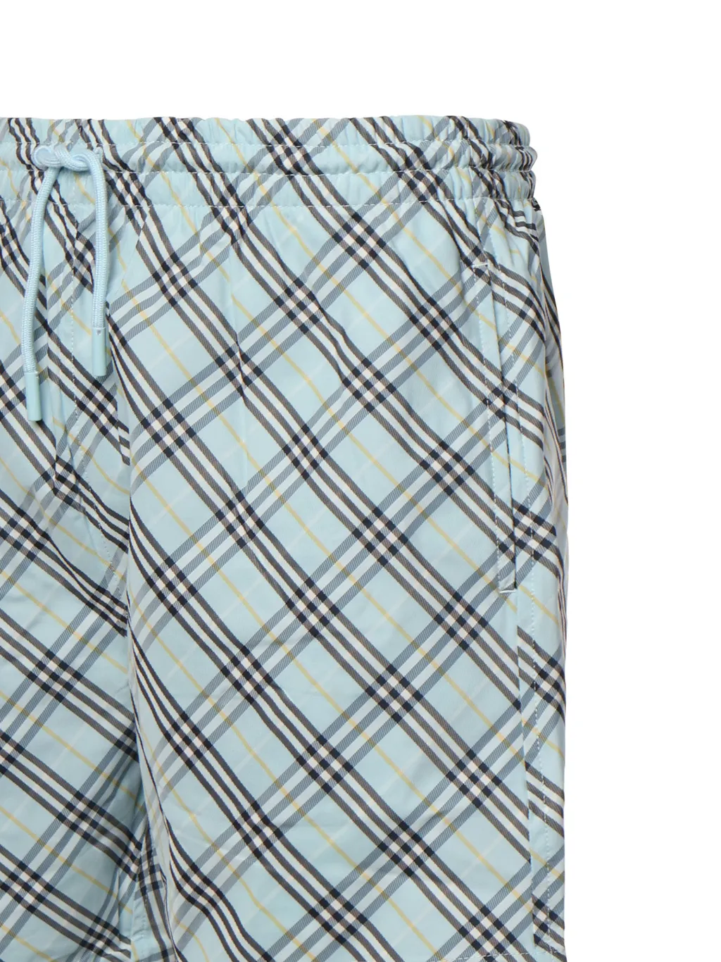 Check Printed Drawstring Swim Shorts
