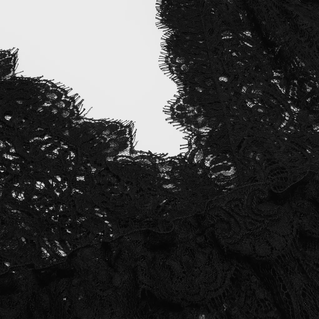 Long Triomphe Dress In Cotton Lace