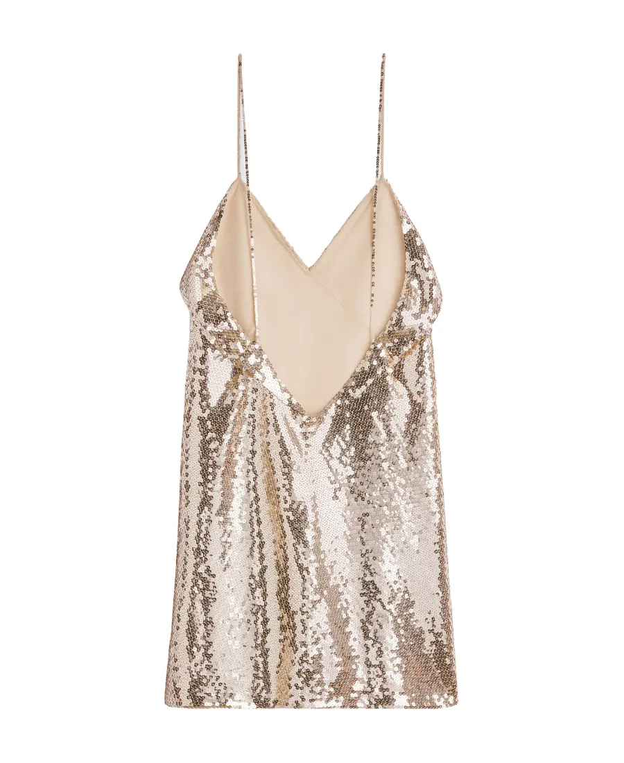 Embroidered Mini Dress In Silk Georgette