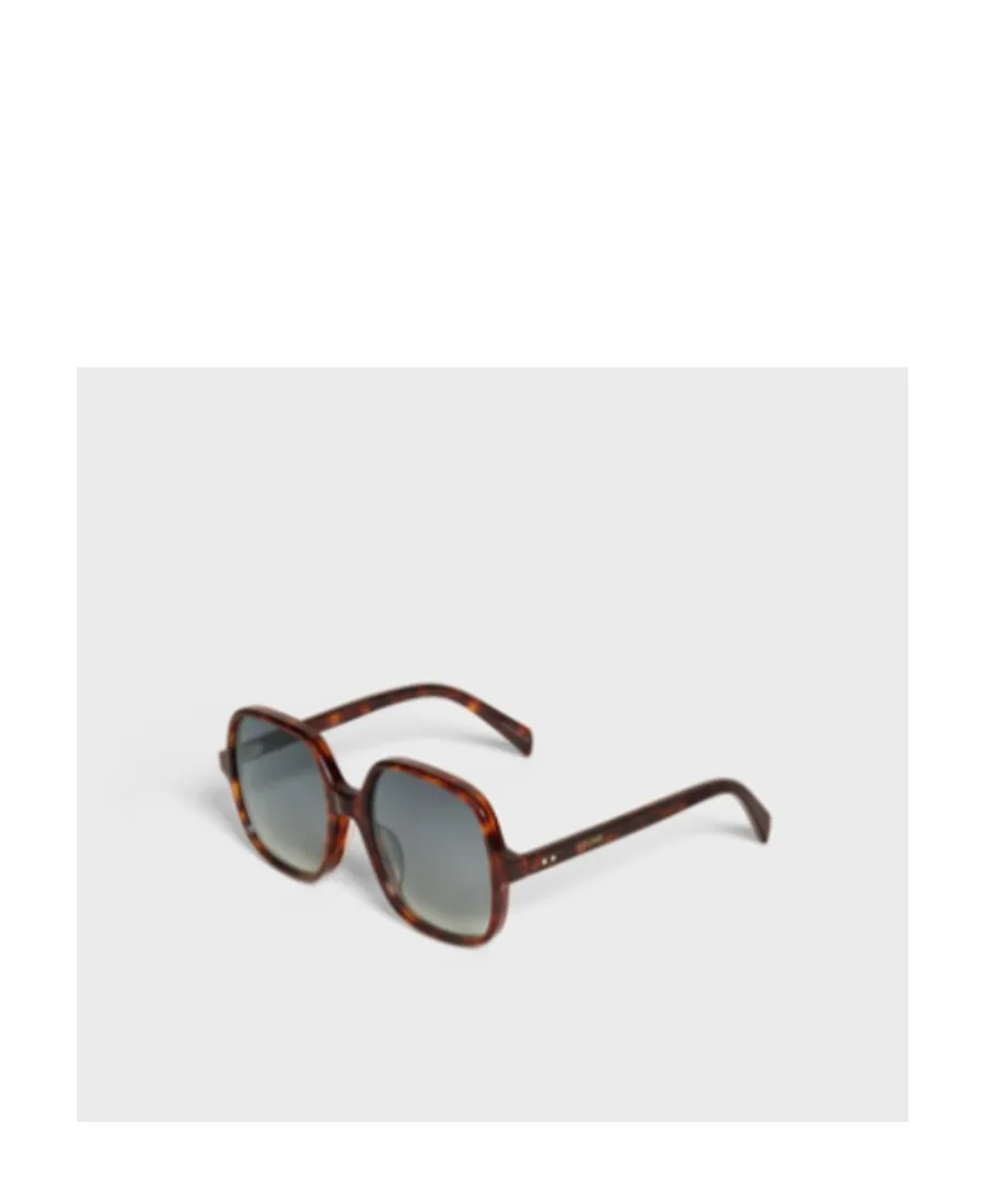 Oversized S244 Sunglasses In Acetate