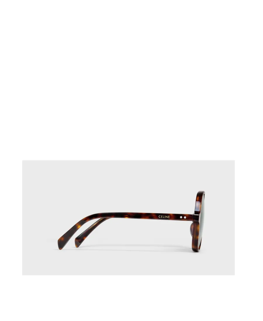 Oversized S244 Sunglasses In Acetate