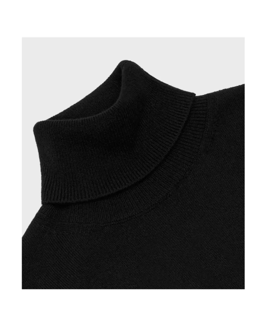 Triomphe Turtleneck Sweater In Fine Cashmere