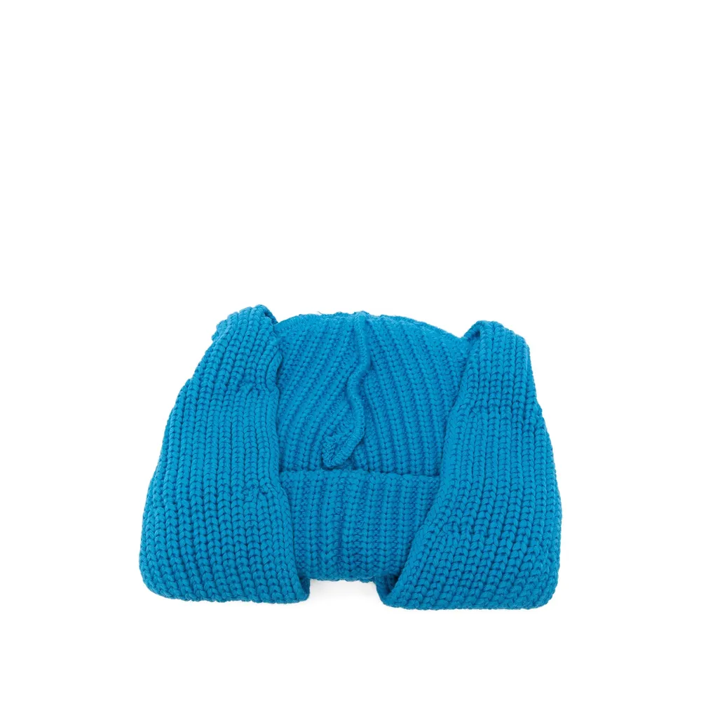 Logo Hat