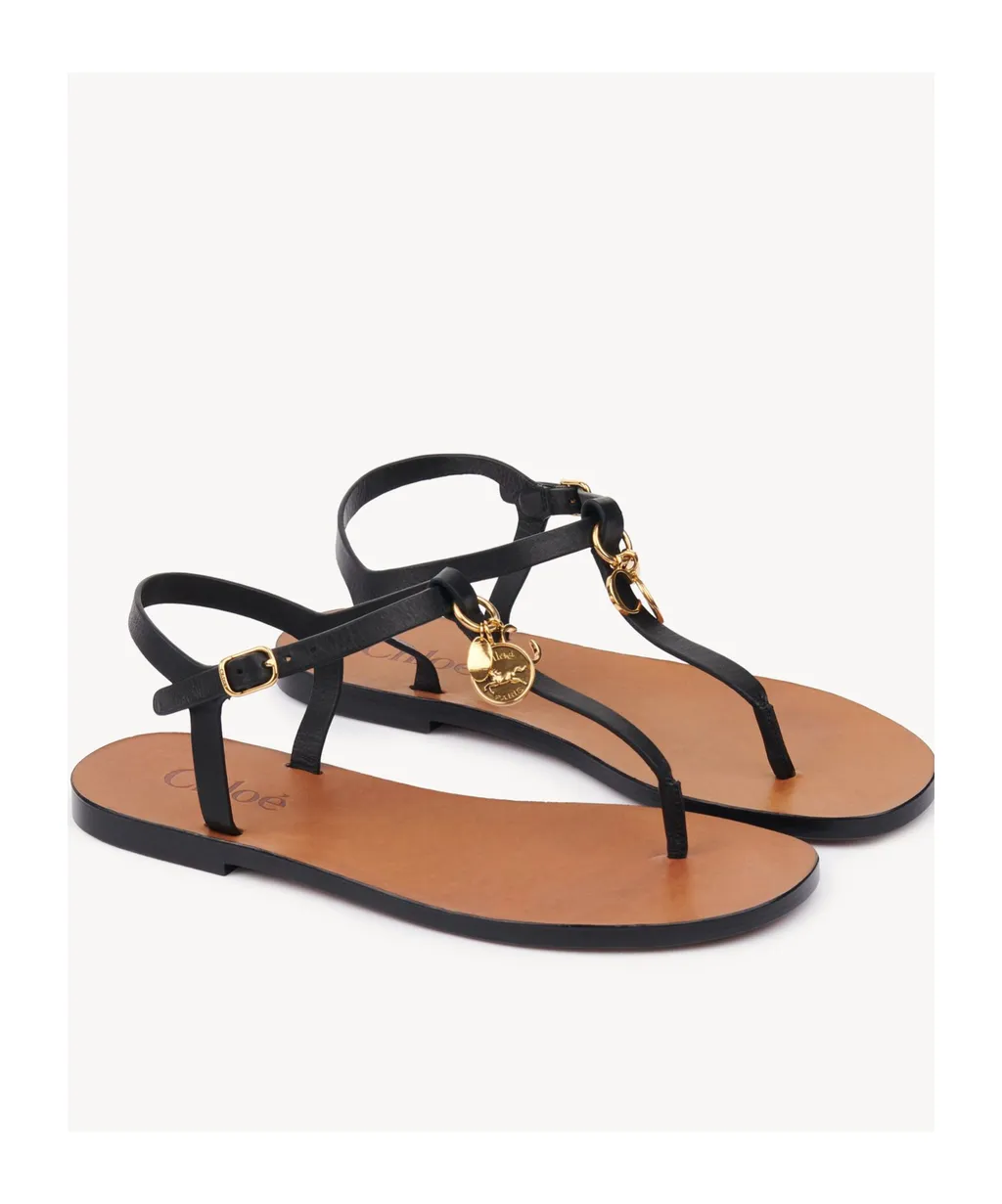 Charms Buckled Ankle Strap Sandals