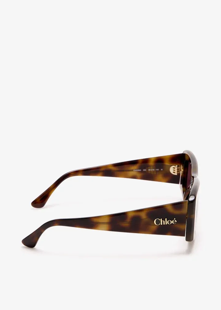 Full Frame Sunglasses