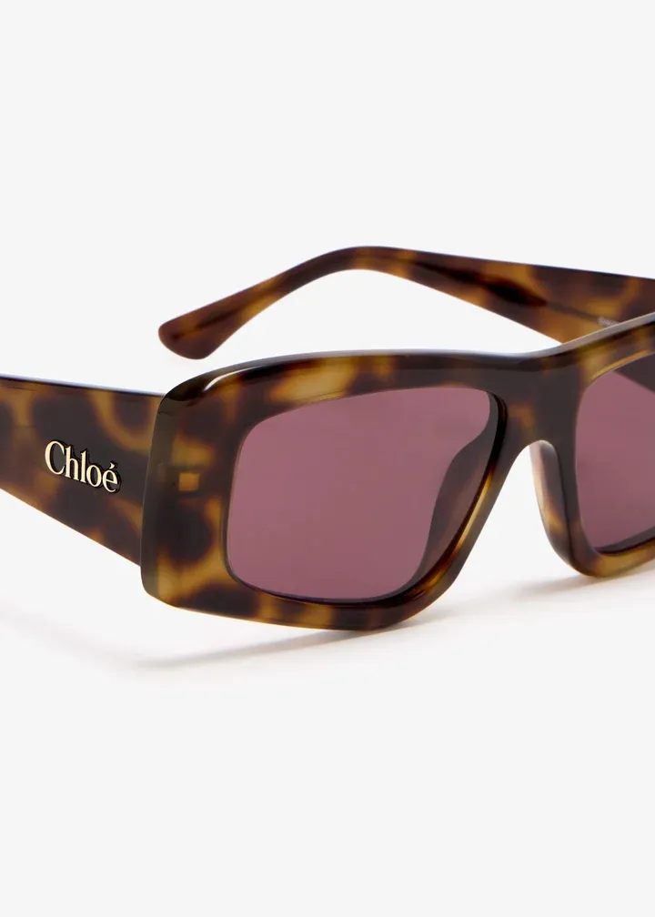Full Frame Sunglasses