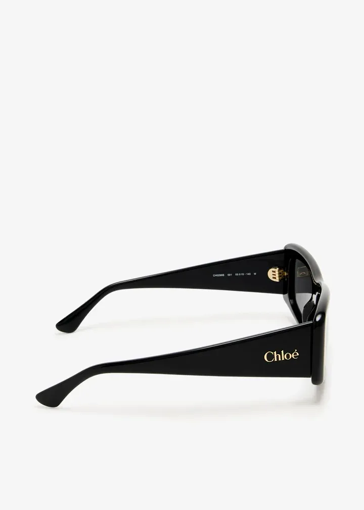 Full Frame Sunglasses