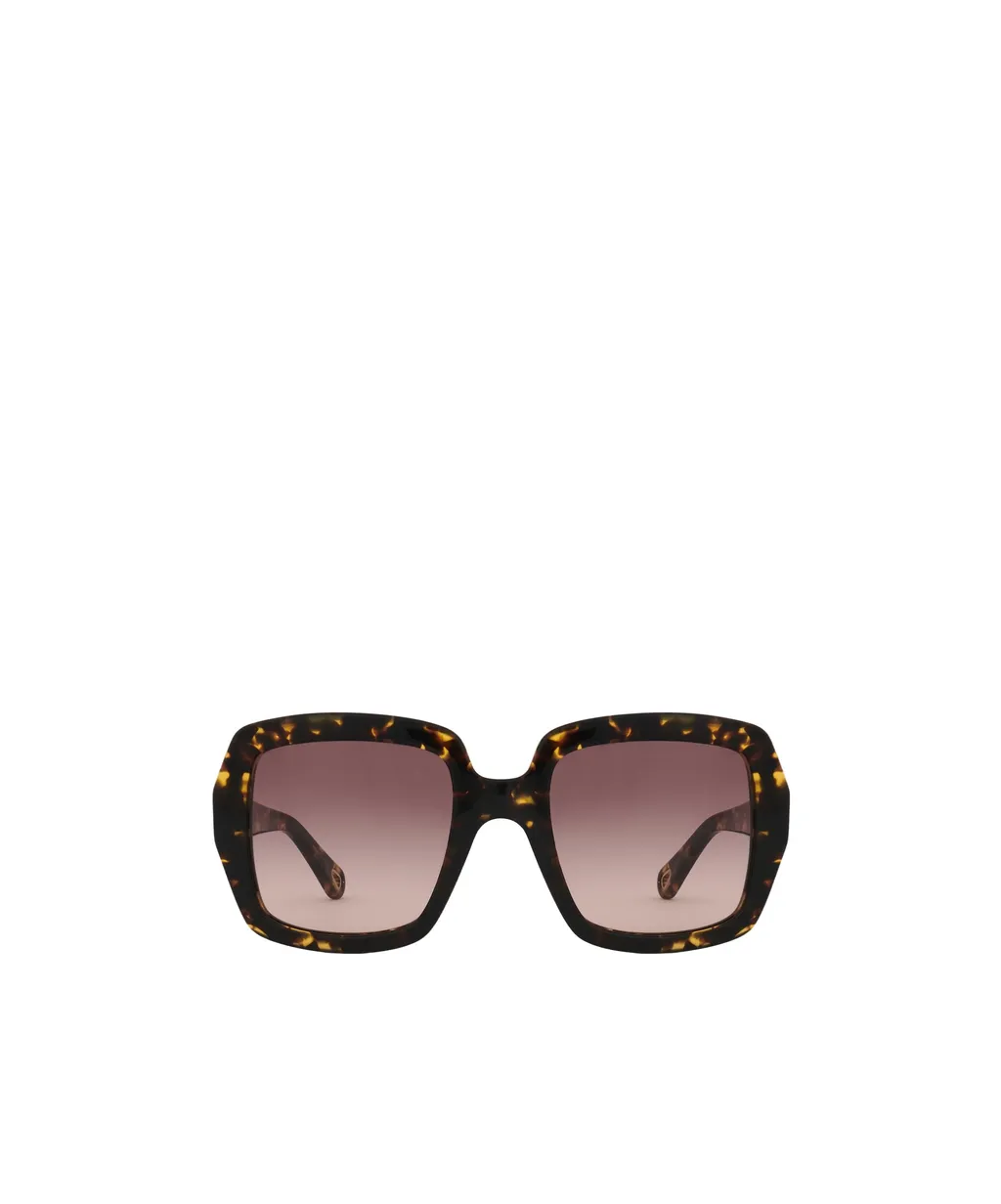 Full Frame Sunglasses