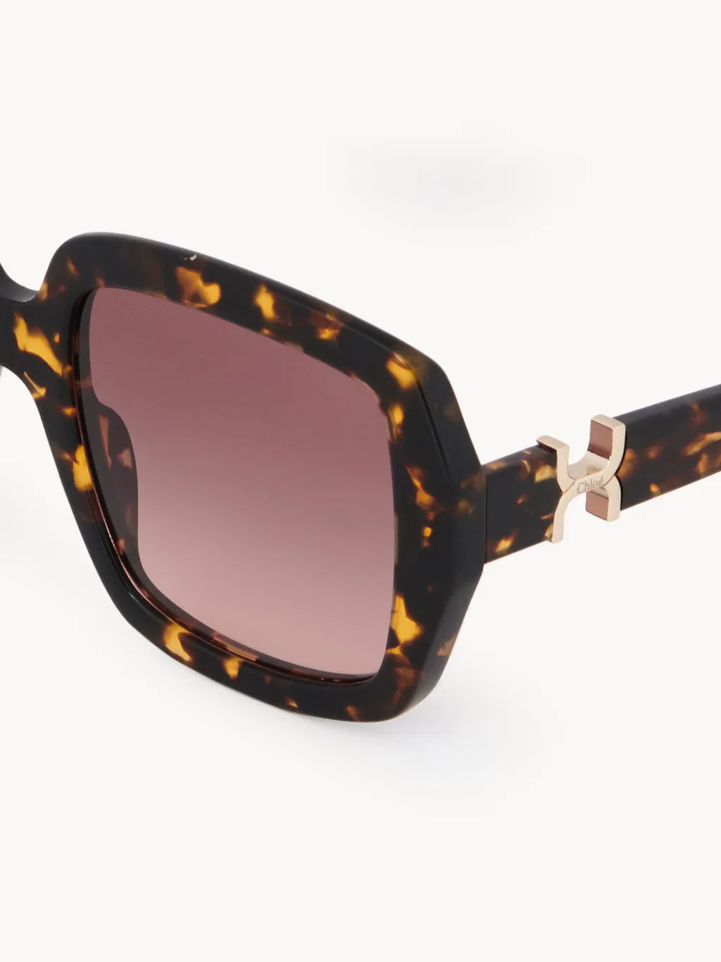 Full Frame Sunglasses