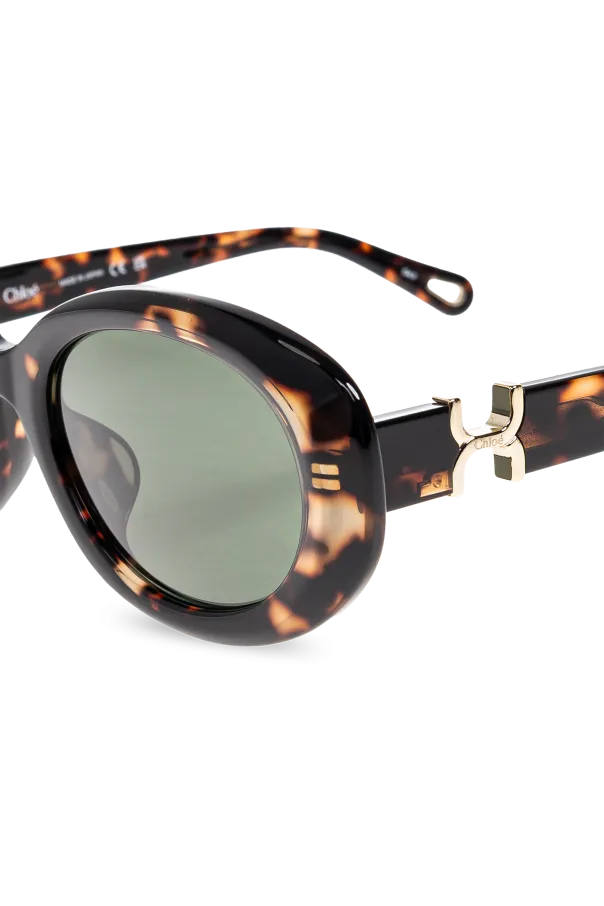 Full Frame Sunglasses