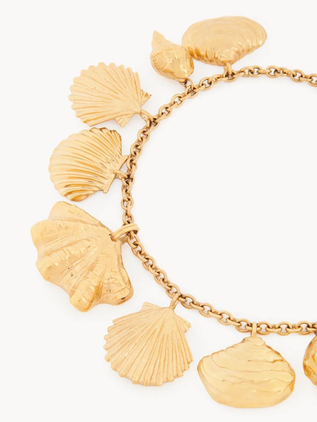 The Chloé Shells Necklace