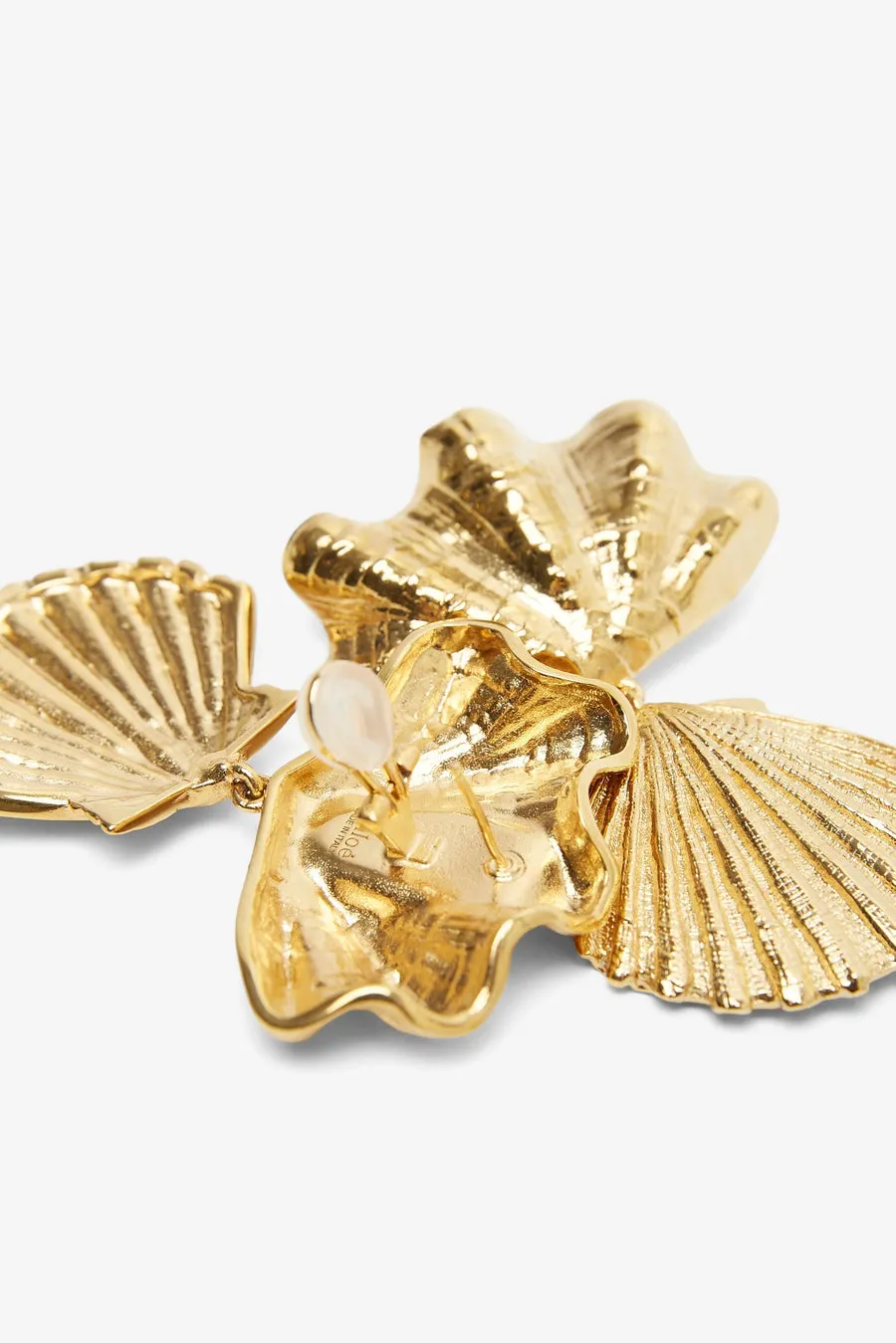 Shell Earrings