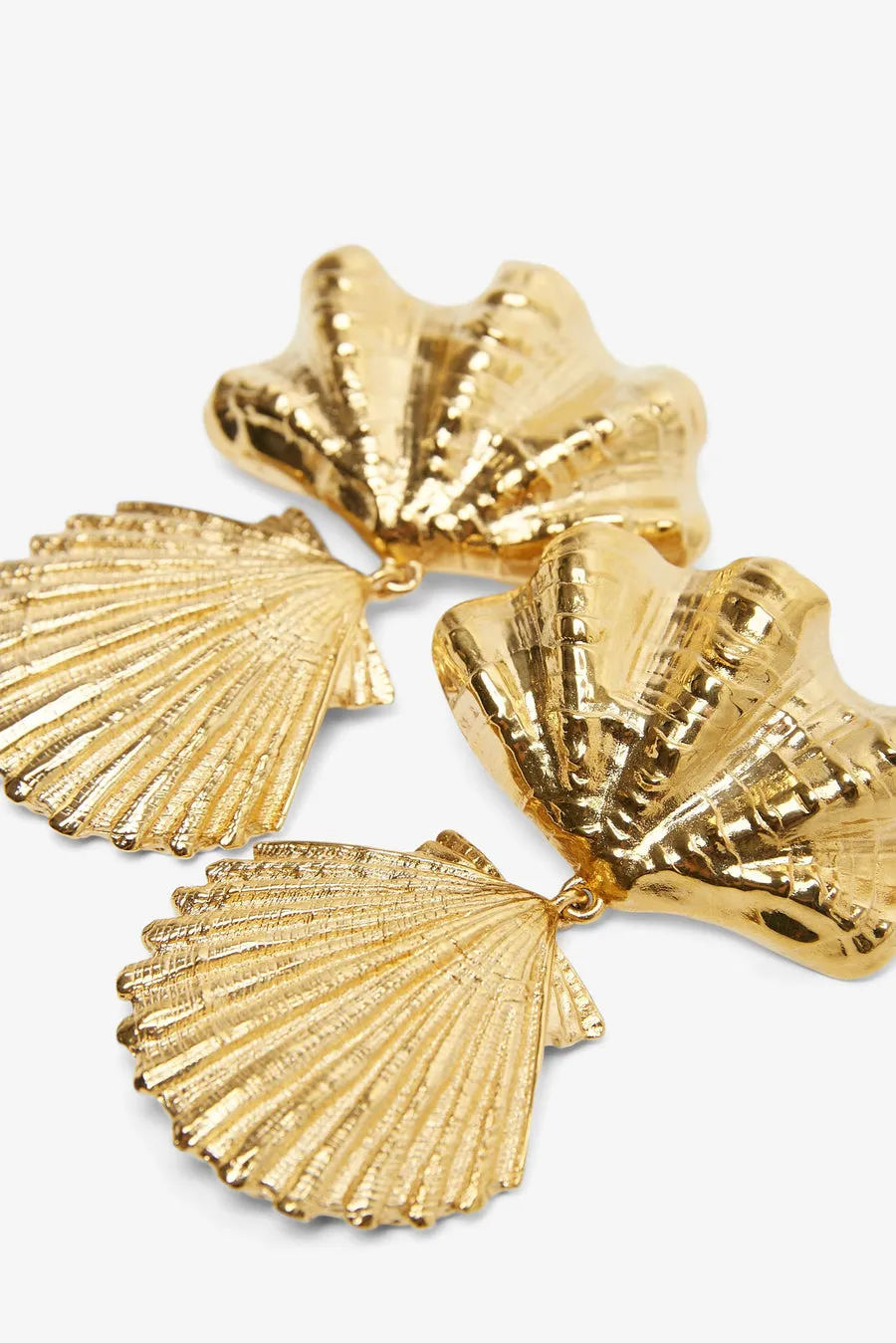 Shell Earrings
